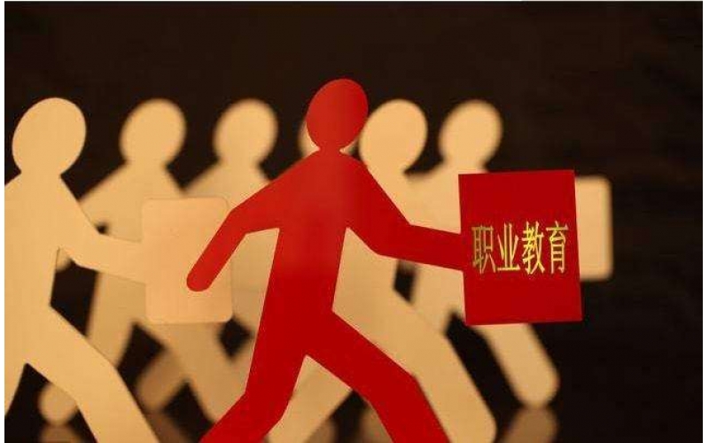 職教專家：發(fā)展適應(yīng)產(chǎn)業(yè)需求的多樣化職業(yè)教育模式